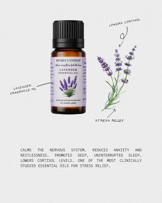 ISVARA Lavender Fragrance Oil – 10ml for Diffuser, Aromatherapy & Candle Making