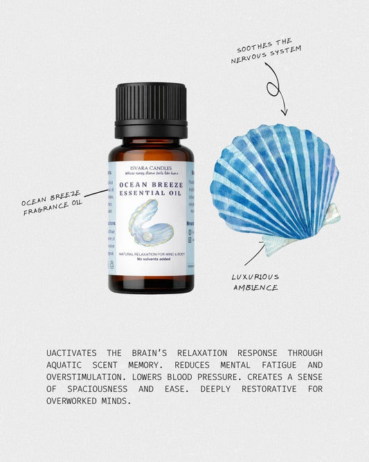 ISVARA Ocean Breeze Fragrance Oil – 10ml for Diffuser, Aromatherapy & Candle Making