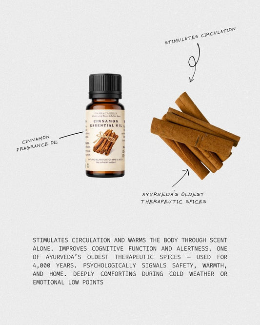 ISVARA Cinnamon Fragrance Oil – 10ml Spicy Aroma Oil for Diffuser, Aromatherapy & Candle Making