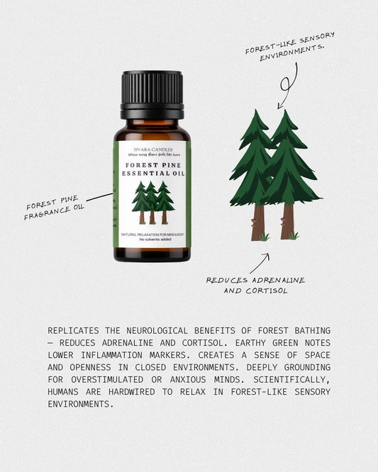 ISVARA Forest Pine Fragrance Oil – 10ml Woody Fresh Aroma Oil for Diffuser, Aromatherapy & Candle Making