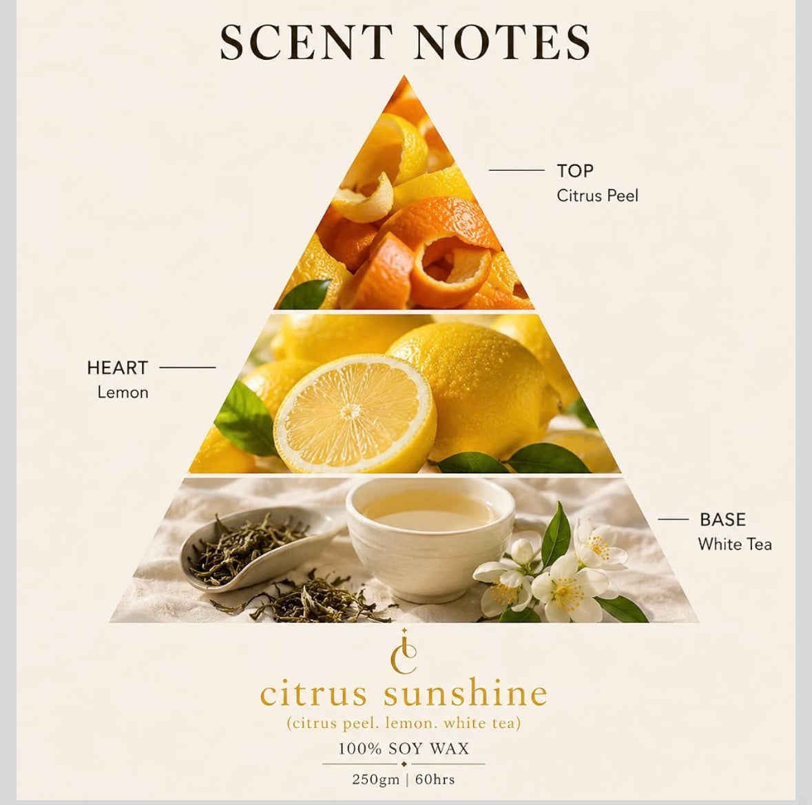 Citrus Sunshine scent notes citrus peel lemon white tea
