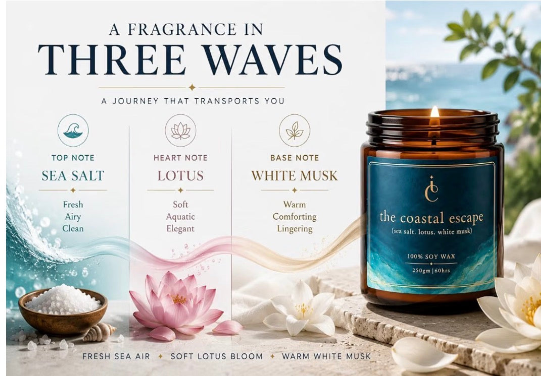 The Coastal Escape scent notes sea salt lotus white musk